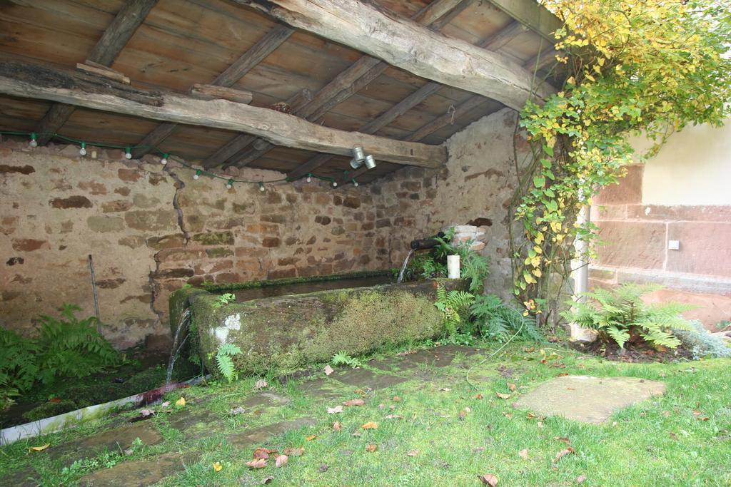 Hotel Auberge du Ruxelier à Cheniménil Extérieur photo