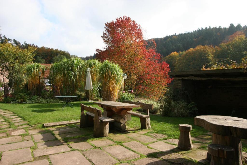 Hotel Auberge du Ruxelier à Cheniménil Extérieur photo