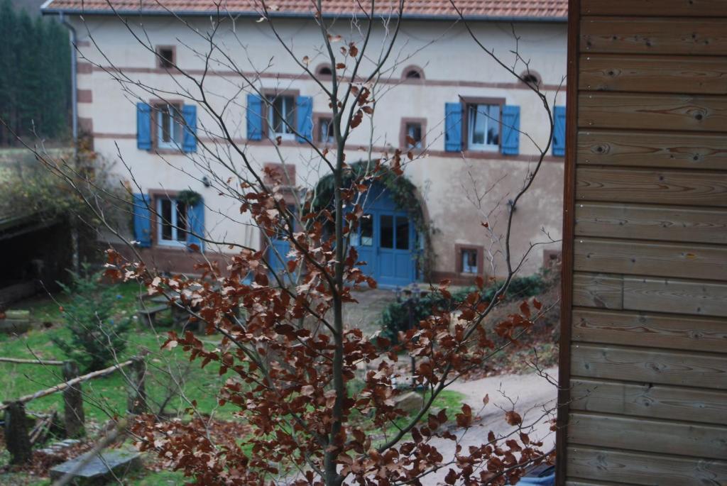 Hotel Auberge du Ruxelier à Cheniménil Extérieur photo